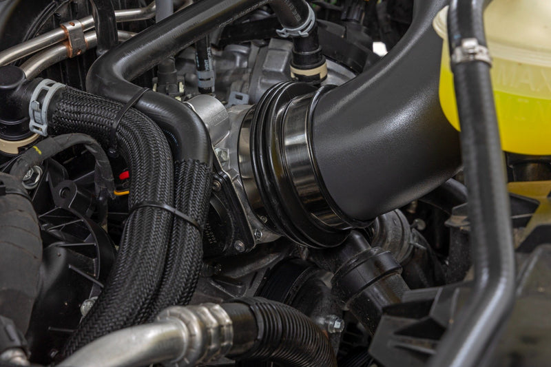 Cold Air Intake Kit | 5.0L | Ford  F-150 2WD/4WD (2021-2025)