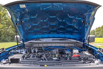 Hood Struts | Hydraulic | Ford Bronco 4WD (2021-2025)