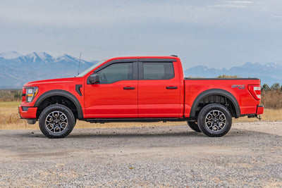 Rear Wheel Well Liners | Ford F-150 2WD/4WD (2021-2025)